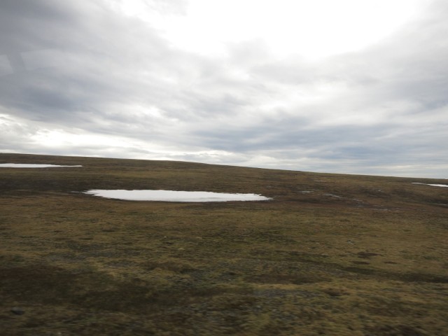 Hurtigruten_2015-06-22_13-49